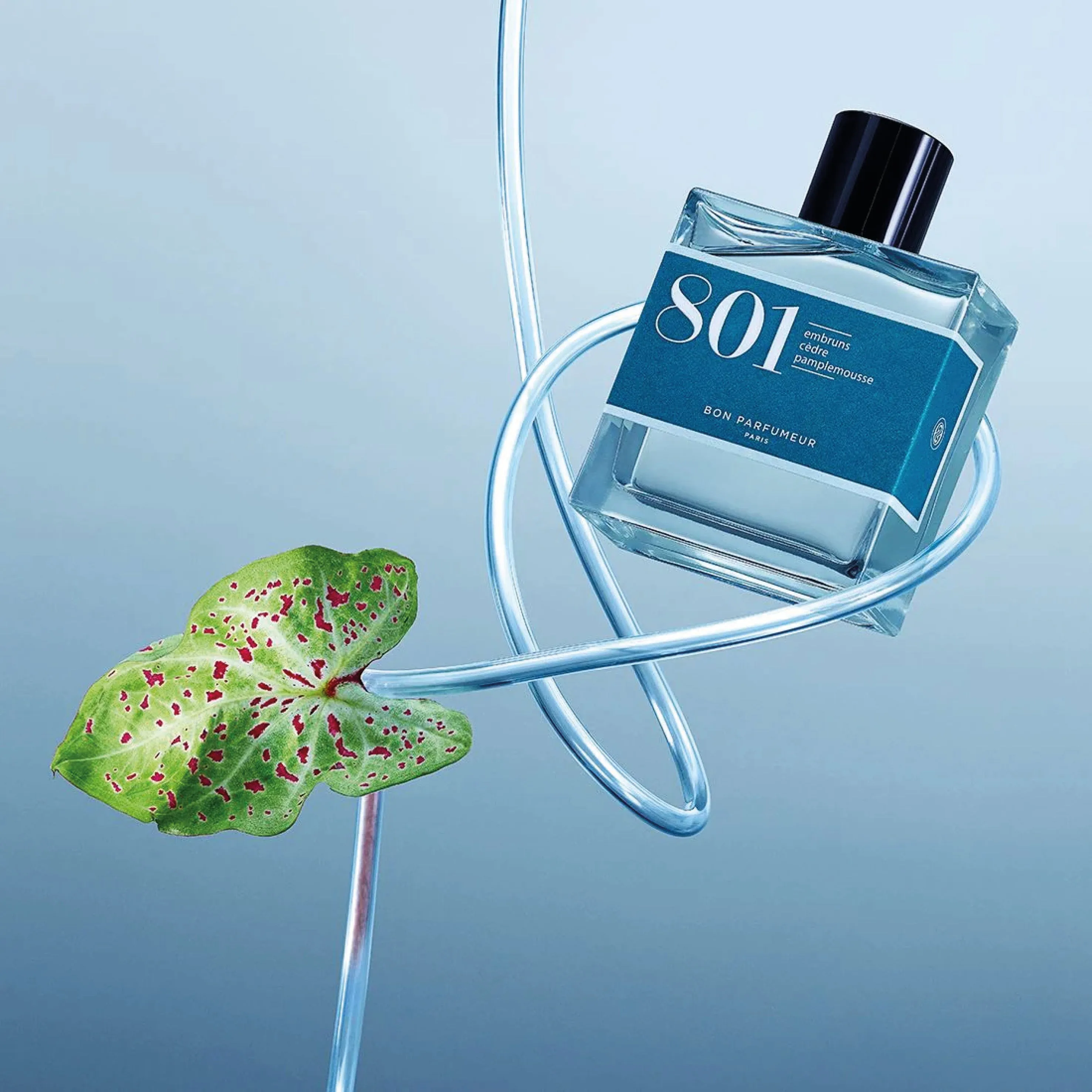 Bon Parfumeur 801 Citrus Eau De Parfum 30ml